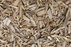 biomass boilers Tixall